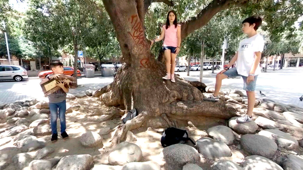 Niños en un árbol de la calle. Dos de ellos acosan verbalmente al que está leyendo. Acoso escolar. Assetjament escolar.