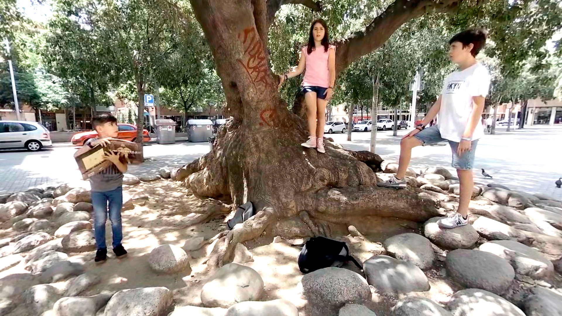 Niños en un árbol de la calle. Dos de ellos acosan verbalmente al que está leyendo. Assetjament escolar.